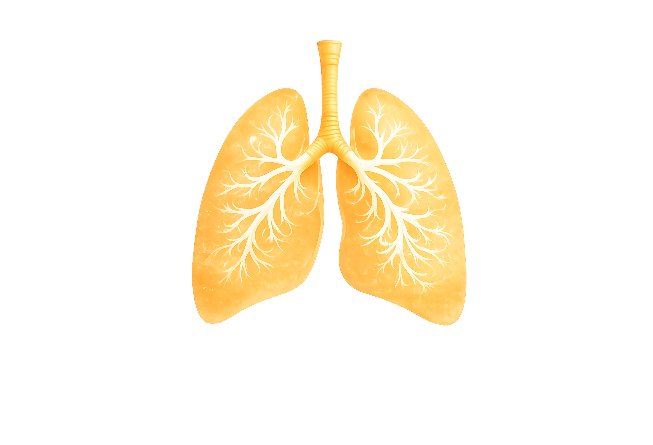 Lungs Background